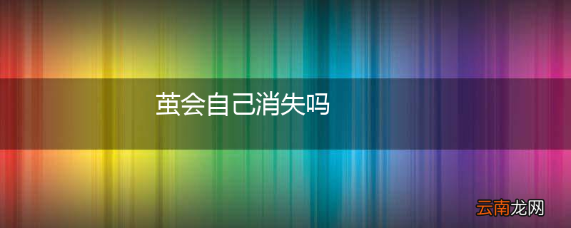 茧会自己消失吗