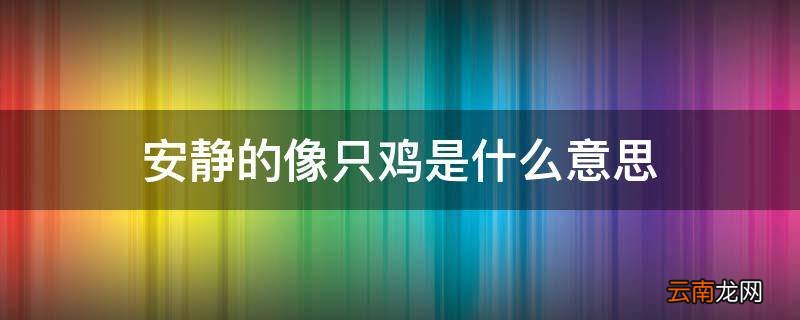 安静的像只鸡是什么意思