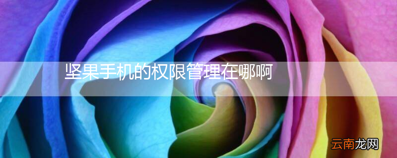 坚果手机的权限管理在哪啊