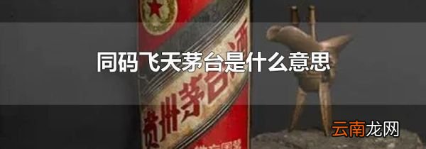 同码飞天茅台是什么意思