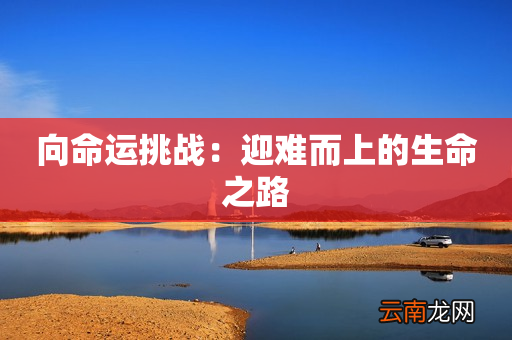 向命运挑战：迎难而上的生命之路