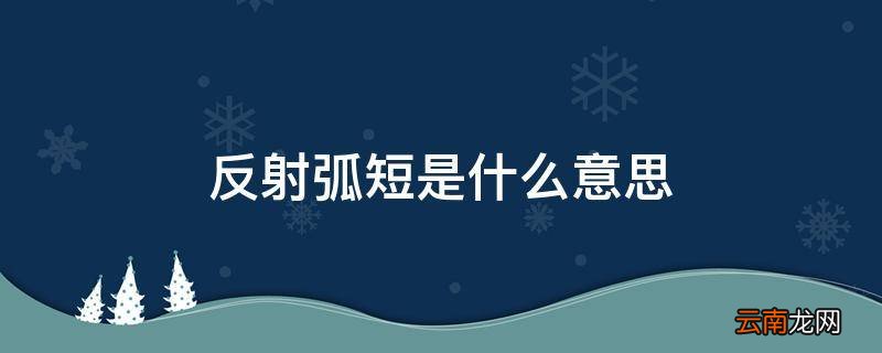 反射弧短是什么意思