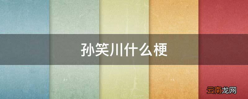 孙笑川什么梗