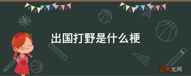 出国打野是什么梗