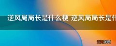 逆风局局长是什么梗