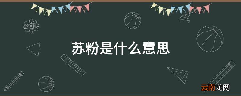 苏粉是什么意思