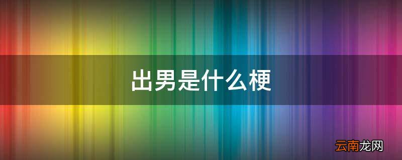 出男是什么梗
