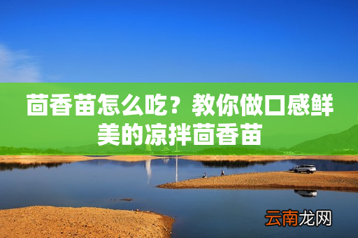 茴香苗怎么吃？教你做口感鲜美的凉拌茴香苗