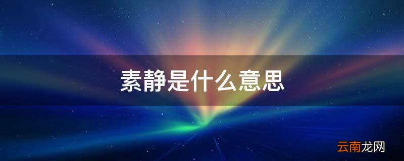 素静是什么意思