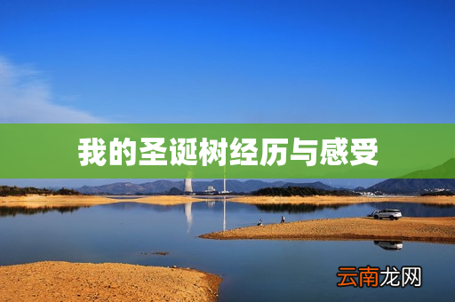 我的圣诞树经历与感受