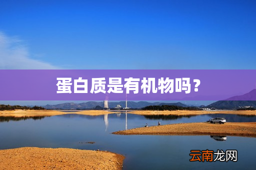 蛋白质是有机物吗？