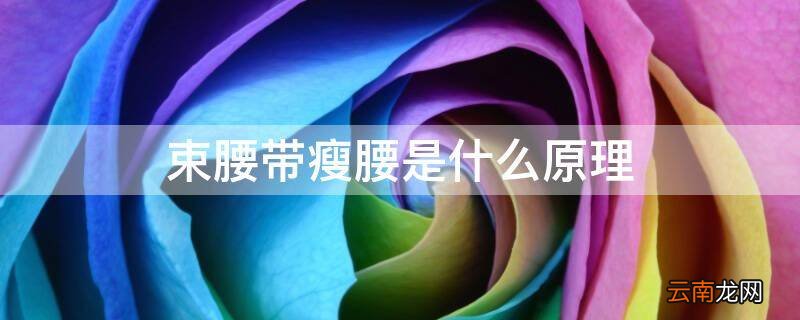 束腰带瘦腰是什么原理