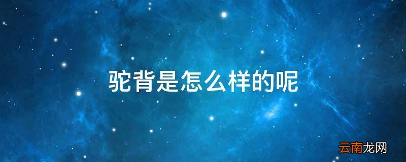 驼背是怎么样的呢