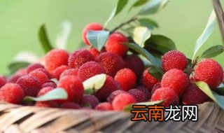 杨梅怎么洗 杨梅的吃法有哪些
