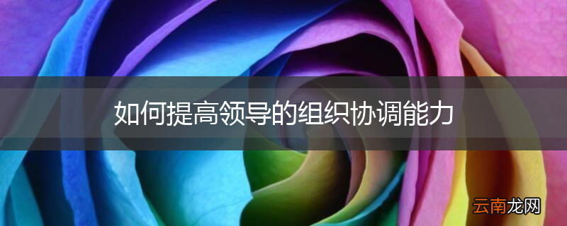 如何提高领导的组织协调能力