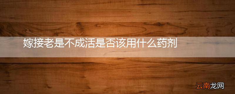 嫁接老是不成活是否该用什么药剂