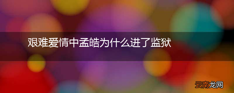 艰难爱情中孟皓为什么进了监狱