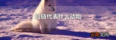 拉链代表什么动物