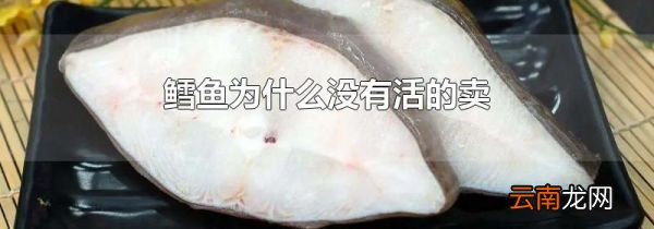 鳕鱼为什么没有活的卖