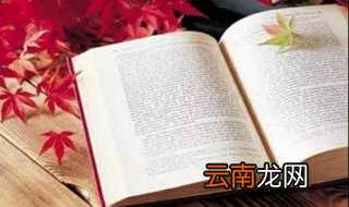 读书方法有哪些 这10个方法你知道吗