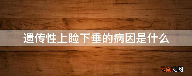 遗传性上睑下垂的病因是什么