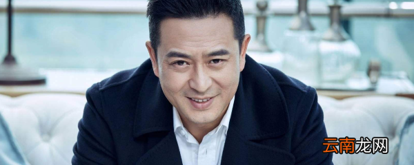 张嘉译饰演林荫的电视剧叫什么名字