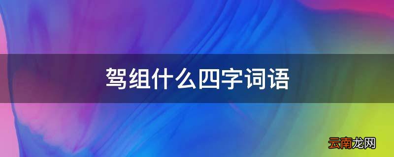 驾组什么四字词语