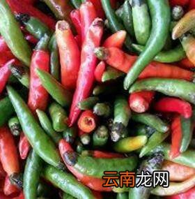 小细尖辣椒怎么做好吃