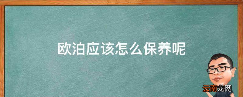 欧泊应该怎么保养呢