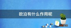 欧泊有什么作用呢