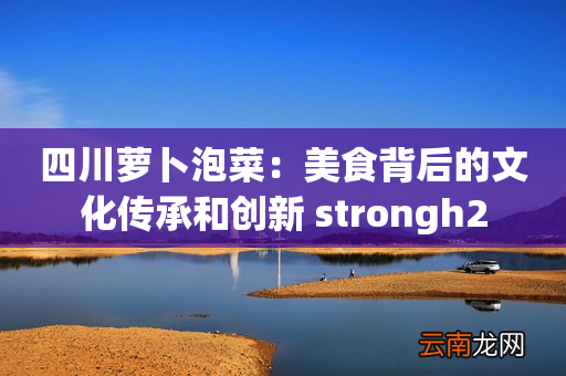四川萝卜泡菜：美食背后的文化传承和创新 strongh2