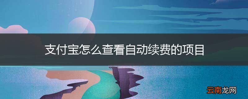 支付宝怎么查看自动续费的项目
