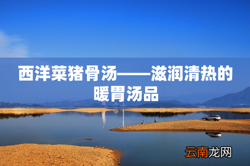 西洋菜猪骨汤——滋润清热的暖胃汤品