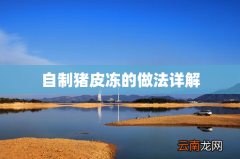 自制猪皮冻的做法详解