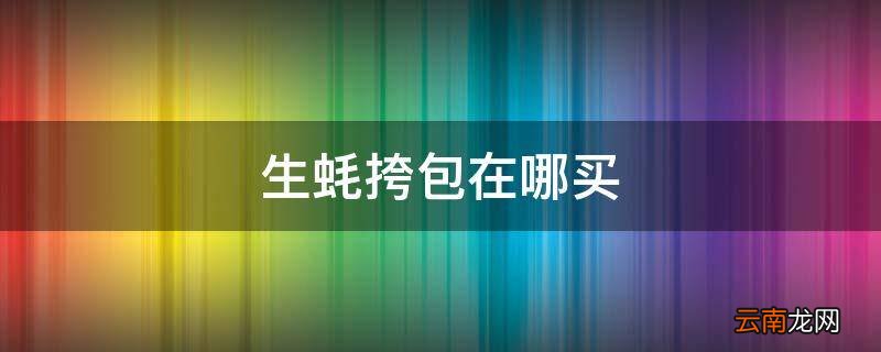 生蚝挎包在哪买
