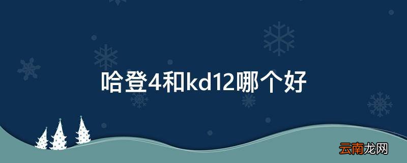哈登4和kd12哪个好