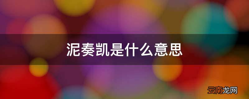 泥奏凯是什么意思
