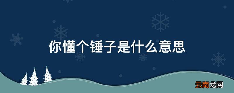 你懂个锤子是什么意思