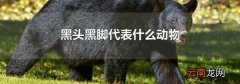 黑头黑脚代表什么动物