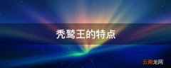 秃鹫王的特点