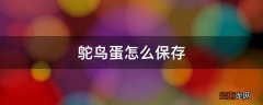 鸵鸟蛋怎么保存