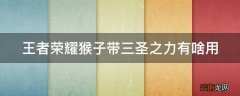 王者荣耀猴子带三圣之力有啥用