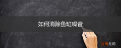 如何消除鱼缸噪音