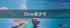 55cm多少寸