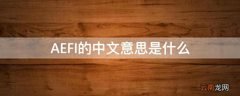 AEFI的中文意思是什么