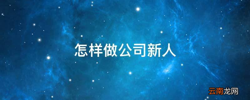 怎样做公司新人