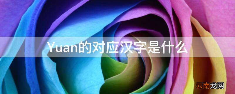 Yuan的对应汉字是什么