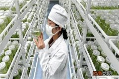 农学专业是一门什么样的专业？