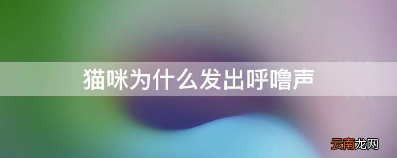 猫咪为什么发出呼噜声