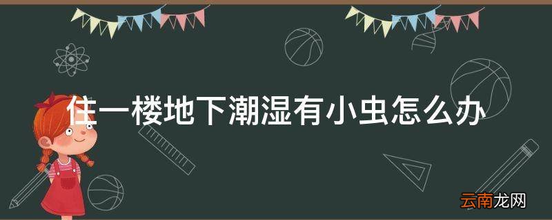 住一楼地下潮湿有小虫怎么办